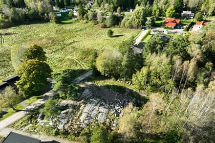 Bild av trädgården