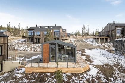 Bild av trädgården