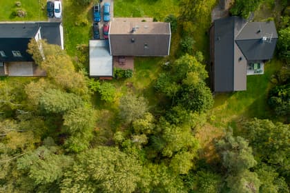 Bild av trädgården