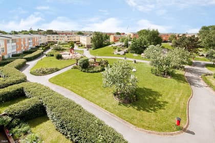 Bild av trädgården