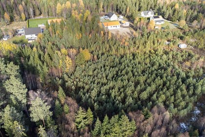 Bild av trädgården