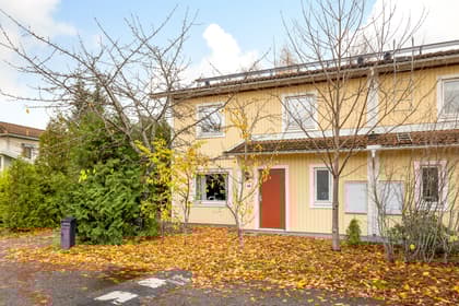 Bild av trädgården