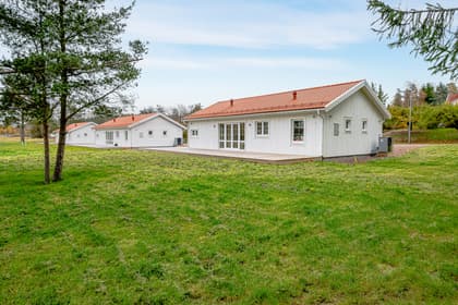 Bild av trädgården