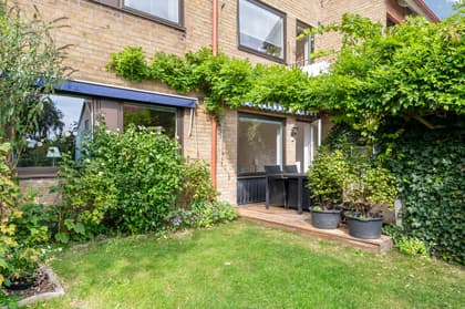 Bild av trädgården