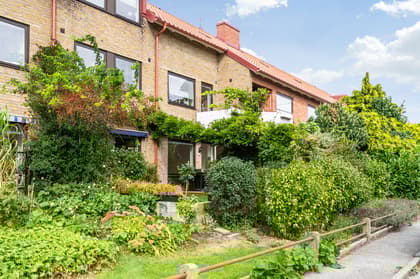 Bild av trädgården