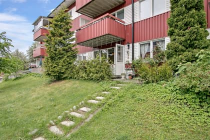 Bild av trädgården