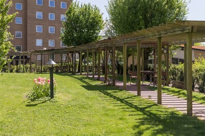 Bild av trädgården