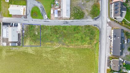 Bild av trädgården