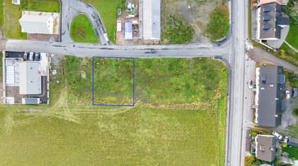 Bild av trädgården