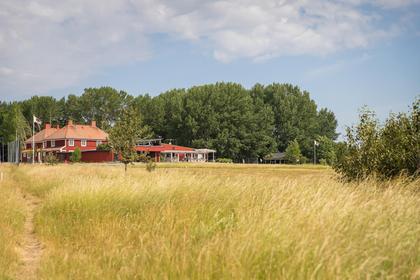 Bild av trädgården