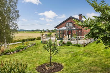 Bild av trädgården