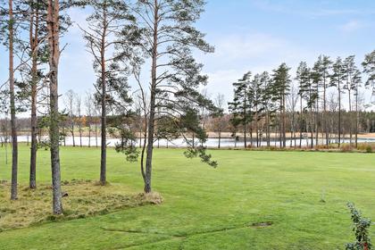 Bild av trädgården
