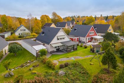 Bild av trädgården