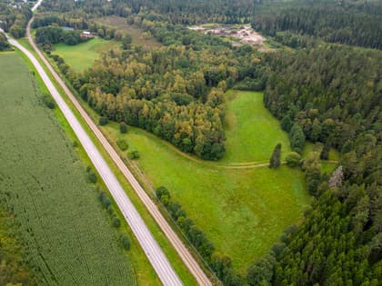 Bild av trädgården