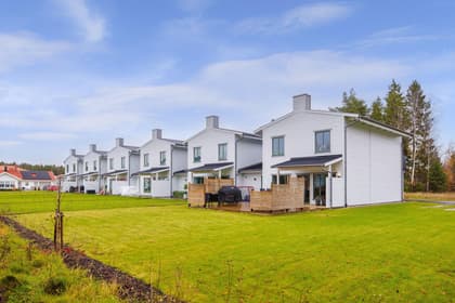 Bild av trädgården