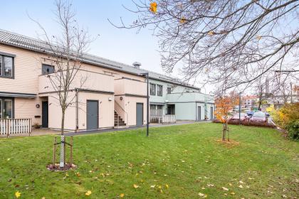 Bild av trädgården