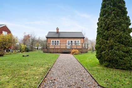 Bild av trädgården