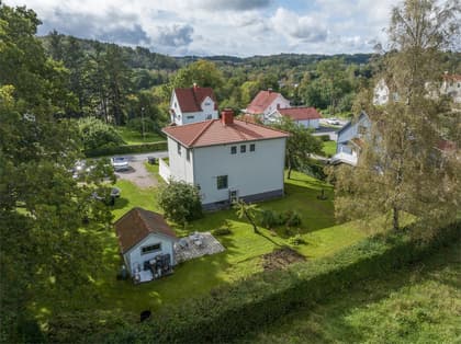 Bild av trädgården