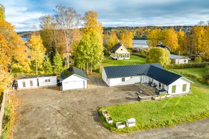 Bild av trädgården