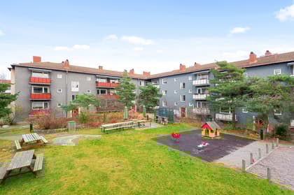 Bild av trädgården