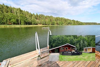 Bild av trädgården
