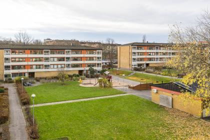 Bild av trädgården