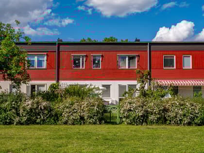 Bild av trädgården