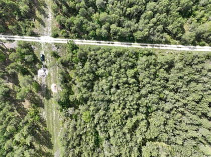 Bild av trädgården