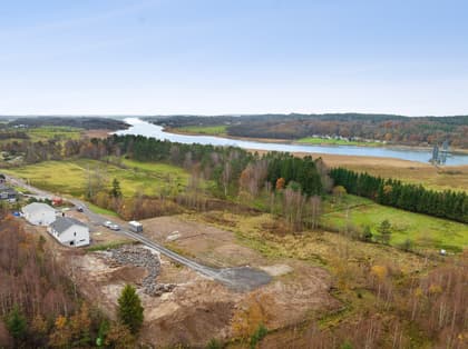 Bild av trädgården