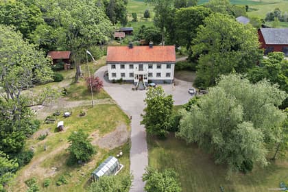 Bild av trädgården