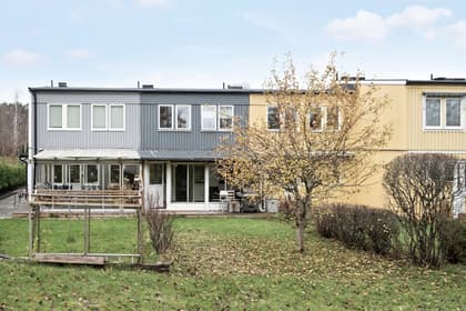 Bild av trädgården