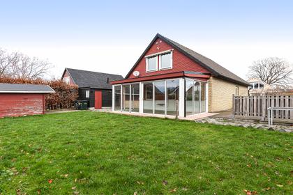 Bild av trädgården