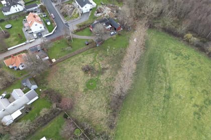 Bild av trädgården