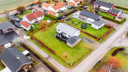 Bild av trädgården