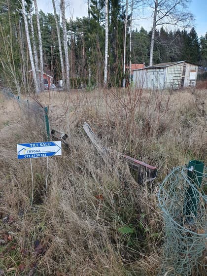 Bild av trädgården