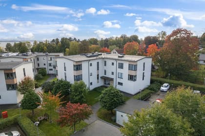 Bild av trädgården