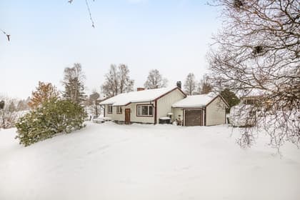 Bild av trädgården