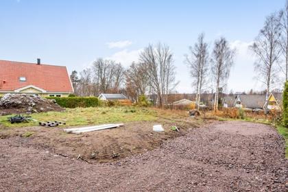 Bild av trädgården