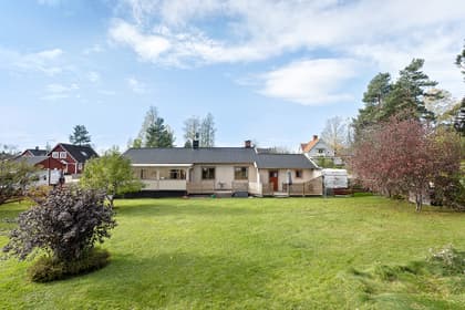 Bild av trädgården