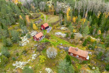 Bild av trädgården