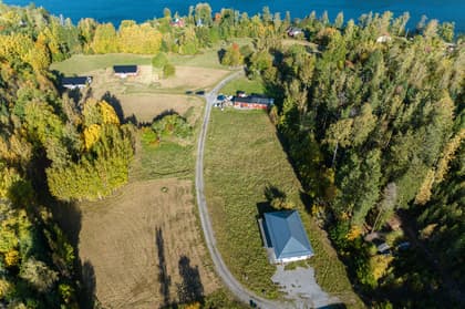 Bild av trädgården