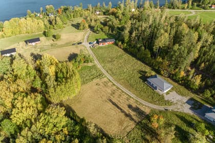 Bild av trädgården