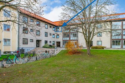 Innergård