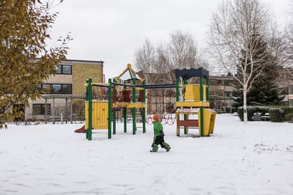 Bild av trädgården