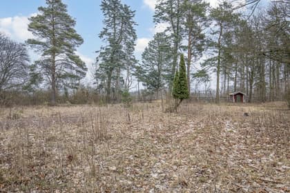 Bild av trädgården