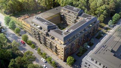 Bild av trädgården