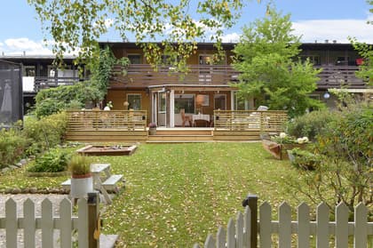 Bild av trädgården