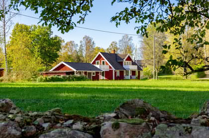 Bild av trädgården