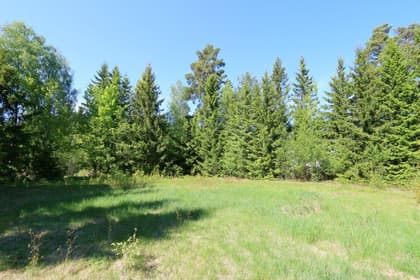 Bild av trädgården