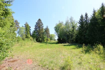 Bild av trädgården